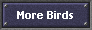 More Birds